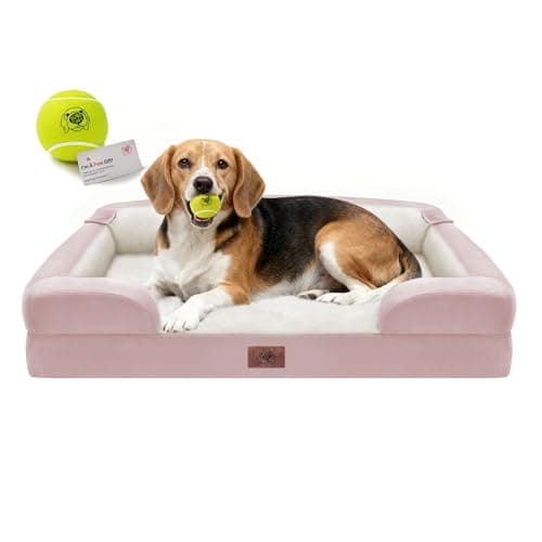 Orthopedic Dog Beds for Large Medium Dogs, Big Waterproof Memory Foam Pet Couch Bed with Removable Washable Cover, Tennis Ball Toy, 36x27 - Image 1