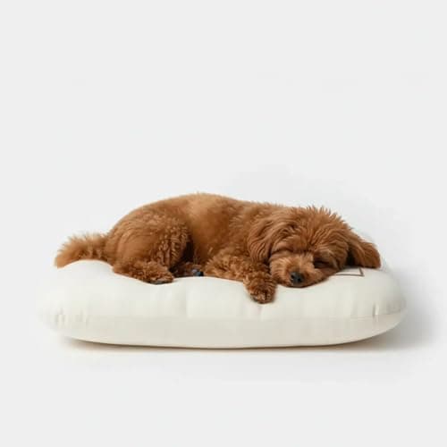 Lumicedar Dog Bed Mat 45x60 cm, Ultra Soft Plush Pet Cushion for Small Dogs & Cats, Washable Crate Pad, Microfiber Fabric, (18” x 24” x 3.2”) - Image 1