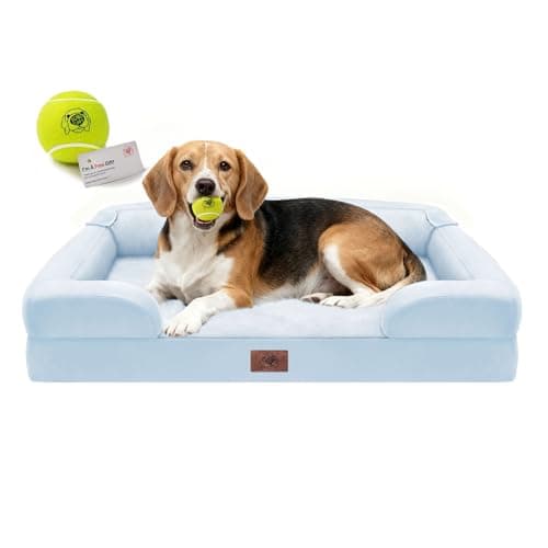 Orthopedic Dog Beds for Large Medium Dogs, Big Waterproof Memory Foam Pet Couch Bed with Removable Washable Cover, Tennis Ball Toy, 36x27 - Image 1