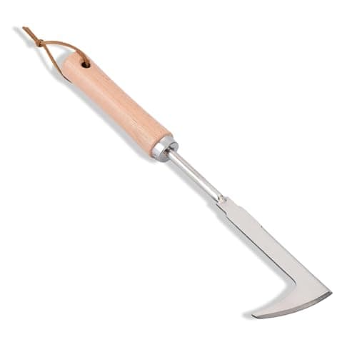 Jahenway Crack Weeder, 12" Stainless Steel Crevice Weeding Tool with Wood Handle, L-Shaped Side-Walk Weed Puller Spatula, for Garden Lawn Yard Patio Terrace Paving Moss, Small Gardening Tool - Image 1