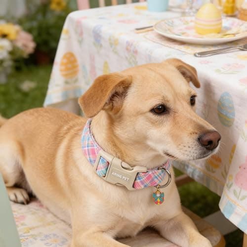 ARING PET Easter Dog Collar, Cute Colorful Plaid Stripe Girl Doggy Collars with Quick Release Buckle for Puppy Small Medium Large Dogs-S - Thumbnail 5