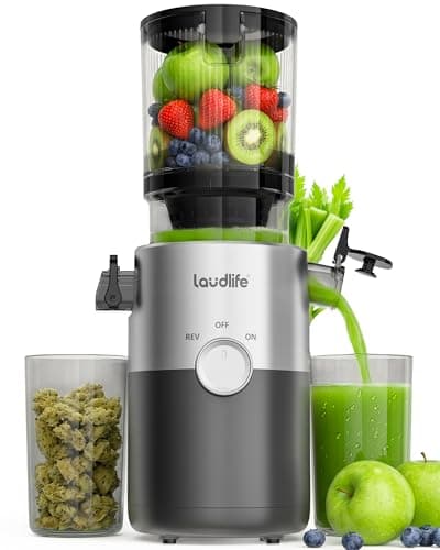 LAUDLIFE Cold Press Juicer Machines, 5.4" Wide Chute Slow Masticating Juicer, 35db Quiet Operation, Easy to Clean, Kale/Spinach Friendly, BPA Free, Juicer Extractor for Whole Fruits & Vegetables - Image 1