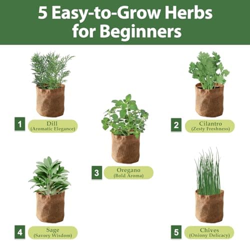 5 Herb Garden Planter Indoor with Wooden Box, Home Kitchen Seed Starter Kit Including Dill, Cilantro, Oregano, Sage, Chives, Birthday, Mothers Day, House Warming, Gardening Gifts for Women, Mom - Thumbnail 2