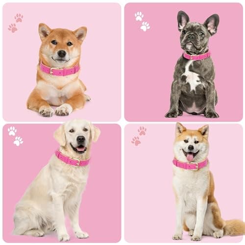 Jumpress Leather Dog Collar for Small Medium Large Dogs, Soft Padded Dog Leather Collar with Heavy Duty Gold Buckle, Durable & Comfortable for Puppy Dogs Daily Walking (Hot Pink, XS) - Thumbnail 3