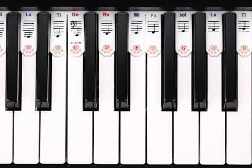 XynkoreX Silicone Piano Keyboard Stickers, Removable Piano Keyboard Note Labels for Learning, 88-Key Full Size, Piano Notes Guide for Beginner, Reusable Comes Unique and cute dog paw design (Rainbow) - Thumbnail 3