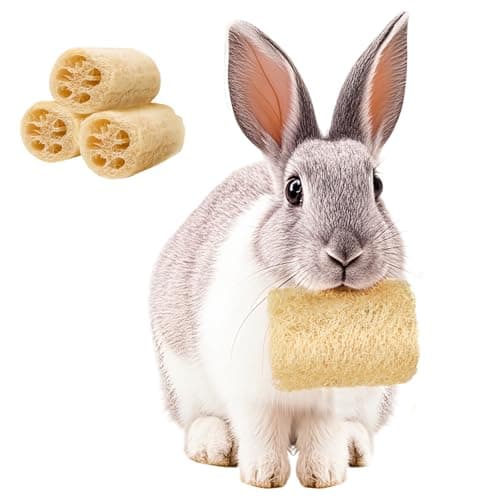 BESNEW 3 PCS Rabbit Chew Toys,100% Natural Loofah Without Additives,Bunny Chew Toys for Teeth,Fiber-Rich Rabbit Treats for Bunny Chinchilla Dogs - Image 1