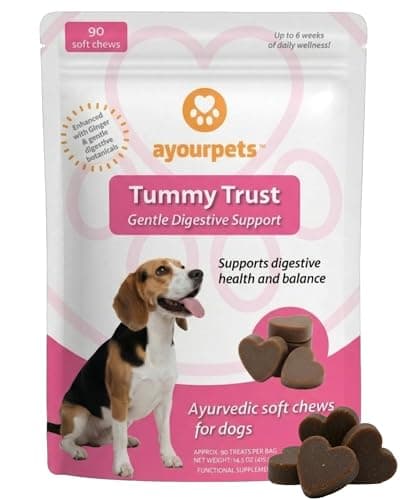 Ayourpets Dog Digestive Chews for Diarrhea, Loose Stool & Sensitive Stomachs – Holistic Herbal Gut Support with Ginger, Fennel & Turmeric – Pork Flavor – 90 Count - Image 1