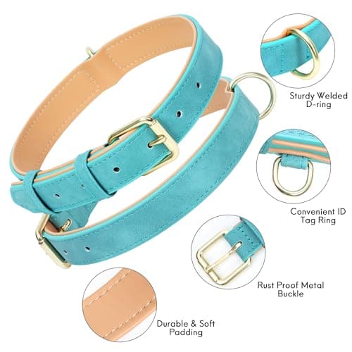 Jumpress Leather Dog Collar for Small Dogs, Soft Padded Dog Leather Collar with Heavy Duty Gold Buckle, Durable & Comfortable, Teal Blue, S - Thumbnail 2
