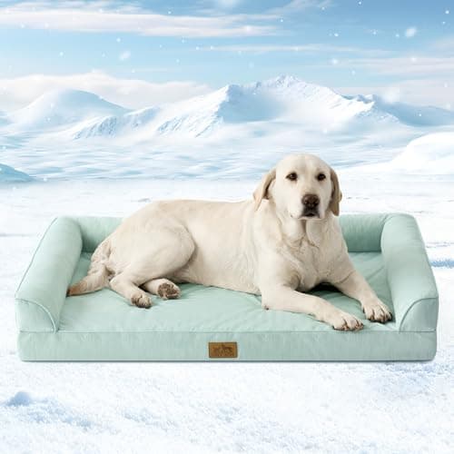 Cooling Dog Bed, Orthopedic Foam Dog Bed with Sides, Removable Washable Cover & Waterproof Lining and Nonskid Bottom, Comfortable Pet Beds for Large Dogs, Green (42" L x 30" W x 7" Th) - Image 1