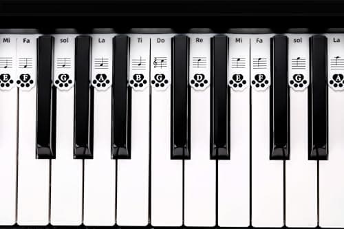 XynkoreX Silicone Piano Keyboard Stickers, Removable Piano Keyboard Note Labels for Learning, 88-Key Full Size, Piano Notes Guide for Beginner, Reusable Comes Unique and cute dog paw design (Black) - Thumbnail 3