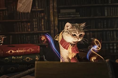 Dog Cat Costumes with Glasses and Neckties,Cosplay Costume Set Perfect for Party and Gifts for Cat Dog (Gryffindor, Large) - Thumbnail 3