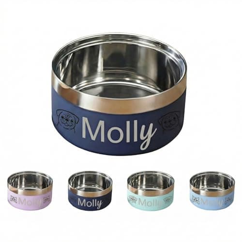 Personalized Engraved Dog Cat Bowl – Custom Name & Cute Pattern, 304 Stainless Steel, Double Layer, Durable, Easy Clean, Pet Gift for Small to Large Pets - Image 1