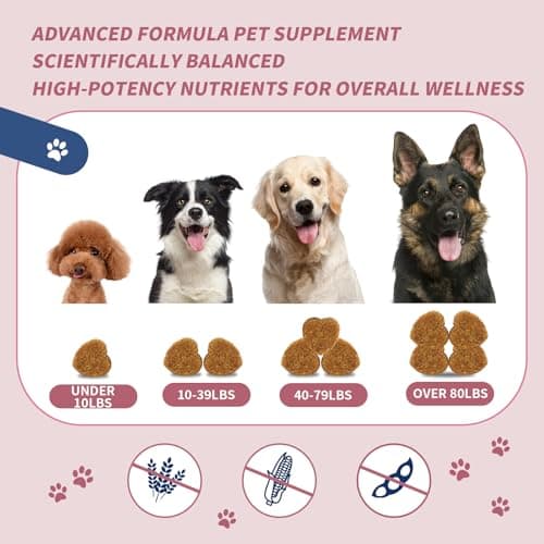 Senior Dog Hip & Joint Supplement – Chicken Flavor Soft Chews with Glucosamine, Chondroitin, MSM, Yucca & Dual Omega 3-6 – Daily Multivitamin for Mobility & Vitality – ZOAPETAL - Thumbnail 4