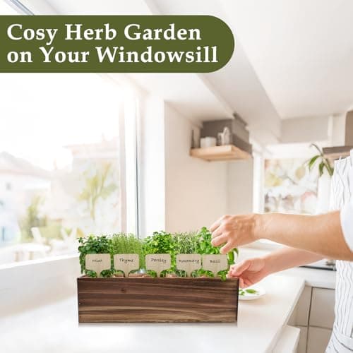 5 Herb Garden Planter Indoor with Wooden Box, Home Kitchen Seed Starter Kit Including Basil, Thyme, Parsley, Rosemary, Mint, Birthday, Mothers Day, House Warming, Gardening Gifts for Women, Mom - Thumbnail 4