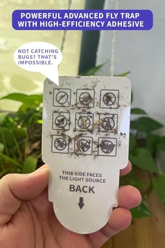 NEXLY MK030 Fly Trap Indoor Plug in Fruit Fly Mosquito Killer Glue Traps Gnat Zapper Catcher for Indoors Night Light Flying Trap Zappers for Home Bedroom Living Room Kitchen Basement - Thumbnail 6