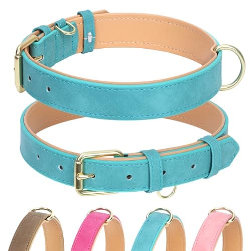 Jumpress Leather Dog Collar for Small Medium Large Dogs, Soft Padded Dog Leather Collar with Heavy Duty Gold Buckle, Durable & Comfortable for Medium Dogs Daily Walking (Teal, M) - Image 1