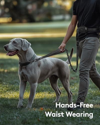 MIDOG Multifunctional Dog Leash Hands Free for Large Dogs - Adjustable Waist Leash with Zipper Pounch& Bungee Cord for Jogging/Running/Walking(4-7FT,Black) - Thumbnail 2