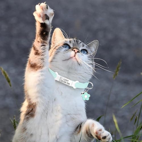 Personalised Glow in The Dark Cat Collar with Bell, Adjustable Breakaway Safety Luminous Collar with Stainless Steel Name Tag Fluorescent Glow (Grow in The Dark) - Thumbnail 6