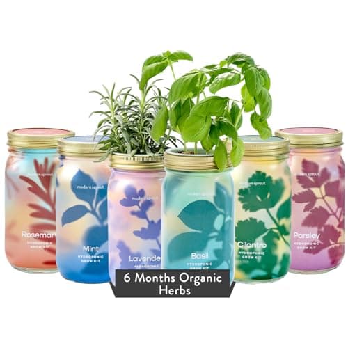 Modern Sprout New & Improved Mason Jar Grow Set 6pk, Indoor Herb Garden, Seed Starter Set, Organic Seeds, Hydroponic Growing (Basil + Mint + Parsley + Cilantro + Rosemary+ Lavender) - Image 1