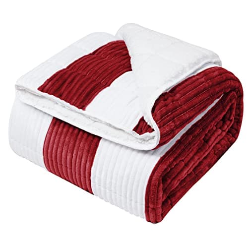 Sherpa Weighted Blanket for Adults 15lbs, 48"x72", Twin Full Size Fuzzy Heavy Throw Blanket for 120-160lbs, Microfiber Soft Thick Big Blankets Weighted Comforter Breathable Gift for Sleeping, Red - Image 1