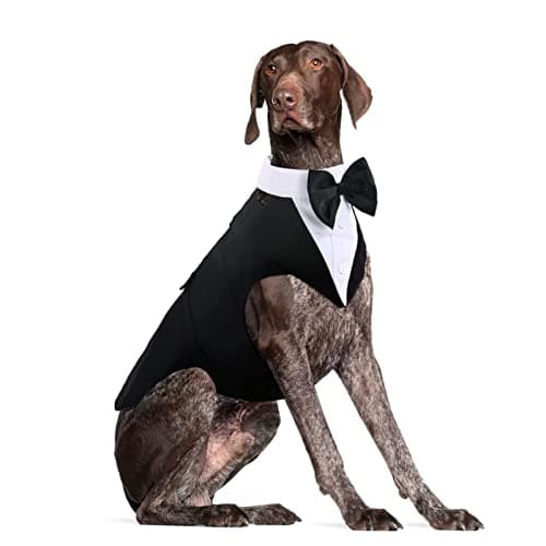 Dog Tuxedo for Large Dogs, Dog Wedding Suit and Bowtie - Image 1
