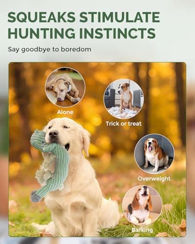 FoxFocus Squeaky Dog Toys for Medium Dogs - Durable Dog Toys for Aggressive Chewers to Keep Them Busy - Interactive Plush Chew Toy with Squeaker for Training Reward & Gift - Green - Thumbnail 3