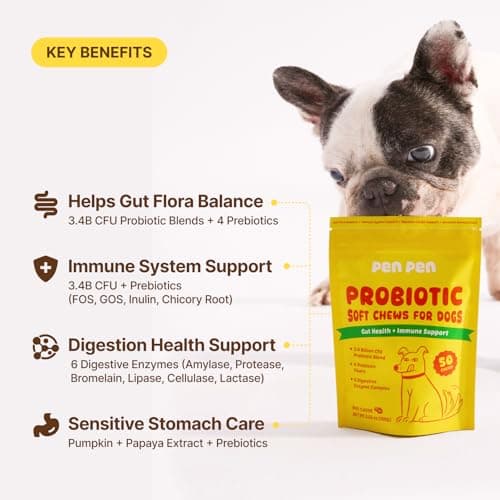 PENPEN Probiotics for Dogs, Dogs Probiotics for Digestive Health, Multi-Probiotic and Enzyme Blend Promote Gut Health & Immune Support, Eases Sensitive Stomachs (Beef Chews, 50ct) - Thumbnail 4