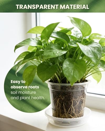 WandaQueen 24 Packs 7/6/5/4 Inch Clear Nursery Pots for Plants with Sacuers, Plastic Flower Pots with Drainage Hole, Variety Pack Seedlings Plant Pot with 24 Plant Labels - Thumbnail 4