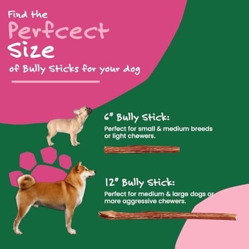 Willow & I Bully Sticks for Dogs -6 Inch Natural Bully Sticks for Medium Dogs, Small & Large- Premium 100% Grass Fed, Single Ingredient, Long Lasting, High Protein-Grain & Rawhide Free (6", 25 Pack) - Thumbnail 5