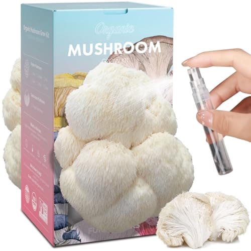 Fungiworks USA Organic 4lbs Lions Mane Mushroom Growing Kit, Double-Side Mushroom Grow Kit Indoor, Harvest Gourmet Mushrooms in 10 Days, Top Gardening Gift, Holiday Gift - Image 1