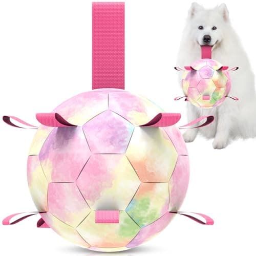 QDAN Extra Large Dog Toys Soccer Ball for Extra Large Dogs - Durable Dog Ball for Beach Pool Water Toy, Interactive Tug of War, Puppy Birthday Gifts, Rainbow (9 Inch) - Image 1