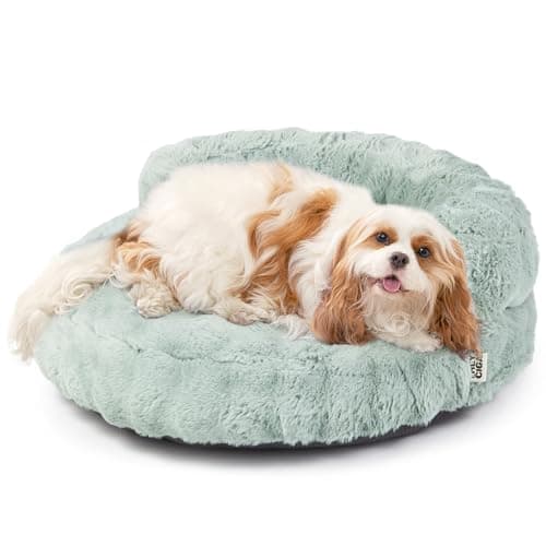 EHEYCIGA Soft Cat Couch Bed for Indoor Cats, Fluffy Small Dog Bed with Removable Washable Cover, Bolster Pet Sofa, Waterproof and Non-Slip, 26" x 26"x 8", Green - Image 1