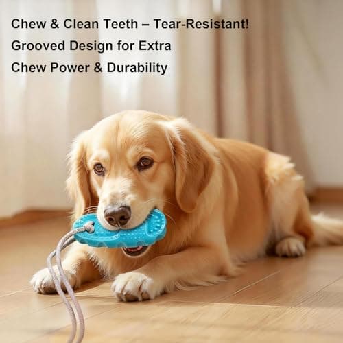 Dog Toys for Aggressive Chewers, Indestructible Interactive Chew Toy with Suction Cup, Long Lasting Durable Molar Grinder for Boredom Energy Relief, for Small Medium Large Dogs Puppy Teething Toys - Thumbnail 3