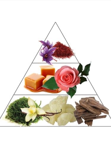 PREparfumer From France Pink Vanilla for Women 30ml – Floral Gourmand Scent From France – Luxury Fragrance with Saffron, Rose – Long Lasting Perfume With Caramel and Vanilla Notes - Thumbnail 2