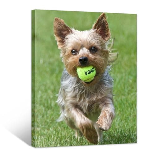 WayToLight Personalized Custom Canvas Prints with Your Photos Framed Wall Art Customized Picture Photo Prints Ideal for Home Decor Christmas Family Gifts (16inx20in) - Image 1