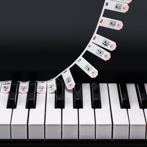 XynkoreX Silicone Piano Keyboard Stickers, Removable Piano Keyboard Note Labels for Learning, 88-Key Full Size, Piano Notes Guide for Beginner, Reusable Comes Unique and cute dog paw design (Rainbow)