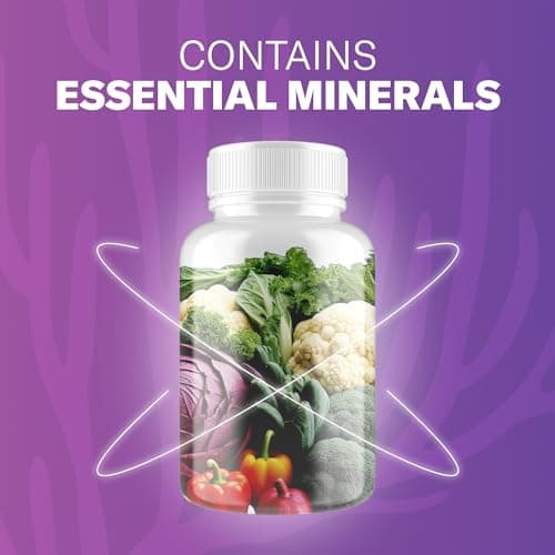 TrueSeaMoss Irish Sea Moss Capsules - 120 Elderberry Capsules (1600mg) - Fruit Extracts Superfood - For Overall Wellness - Thumbnail 4