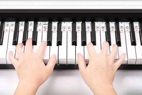 XynkoreX Silicone Piano Keyboard Stickers, Removable Piano Keyboard Note Labels for Learning, 88-Key Full Size, Piano Notes Guide for Beginner, Reusable Comes Unique and cute dog paw design (Rainbow) - Thumbnail 6