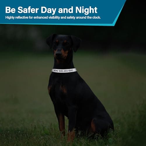 Reflective Personalized Dog Collar - Custom Embroidered Dog Collars with Pet Name and Phone Number for Boy and Girl Dogs, 4 Adjustable Sizes, XSmall,Small, Medium and Large (Metal Buckle) - Thumbnail 4
