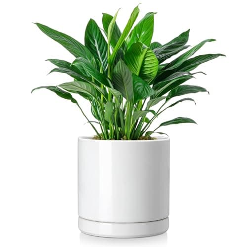 vancasso Ceramic Plant Pots, 8.25 Inch Ceramic Pot for Plants, Planters Pots for Indoor Plants with Drainage Holes, Flower Pot for Indoor House Plant, White - Image 1