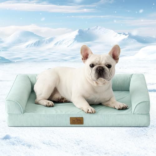 Cooling Dog Bed, Orthopedic Foam Dog Bed with Sides, Removable Washable Cover & Waterproof Lining and Nonskid Bottom, Comfortable Pet Beds for Small Dogs, Green (30" L x 20" W x 6" Th) - Image 1