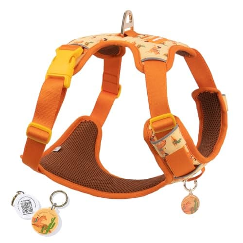 Western Cowboy No Pull Dog Harness for Small Dogs, Soft Air Mesh Vest, Front & Back Clips, Adjustable Escape-Proof Harness with Reflective Trim & QR ID Tag for Walking Running, Orange - Image 1
