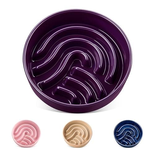vancasso Slow Feeder Dog Bowl, 0.6 Cup Ceramic Slow Feeding Food Dish for Small Breed, Puzzle Dog Food Bowl for Fast Eater, Dark Purple - Image 1