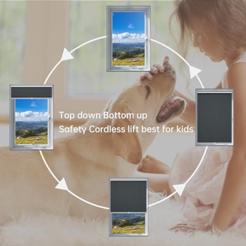 Changshade 100%Blackout Roller Shades for Windows，Room Darkening Thermal Insulated Pull Down Window Blinds, Cordless Free-Stop Shade，Easy Install UV Protection Door Blind for Home，Black,25" W x 72" H - Thumbnail 4