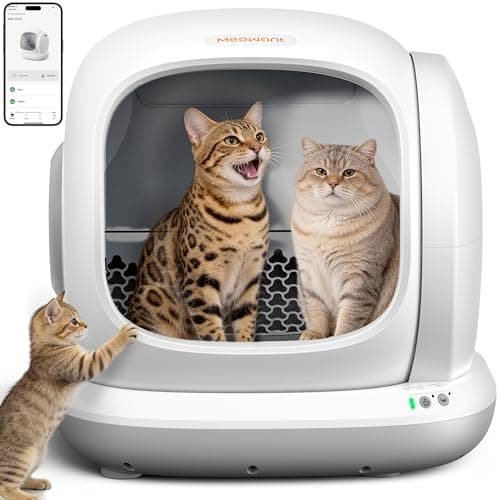 MeoWant Self-Cleaning Cat Litter Box, 75L Extra Large Open Automatic Cat Litter Box for Multi Cats, Integrated Safety Protection/APP Control/Odor Removal Smart Box with Mat & Liner (Gray) - Image 1