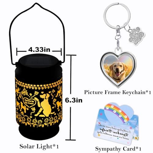 Solar Lantern Pet Memorial Gifts, with Picture Frame Keychain/Sympathy Card Dog Memorial Gifts for Loss of Dog Outdoor Solar Light Loss of Dog Sympathy Gift(with Silver Paw Keychain) - Thumbnail 2