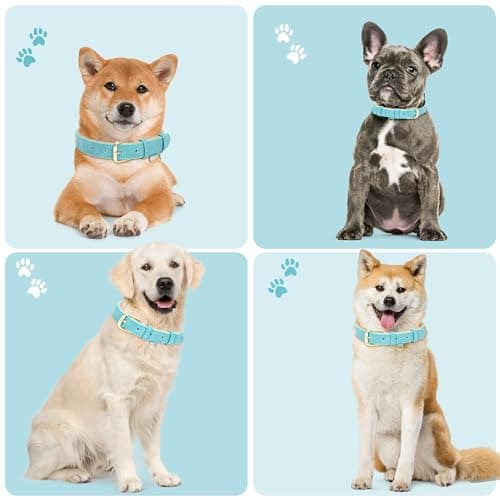Jumpress Leather Dog Collar for Small Dogs, Soft Padded Dog Leather Collar with Heavy Duty Gold Buckle, Durable & Comfortable, Teal Blue, S - Thumbnail 3