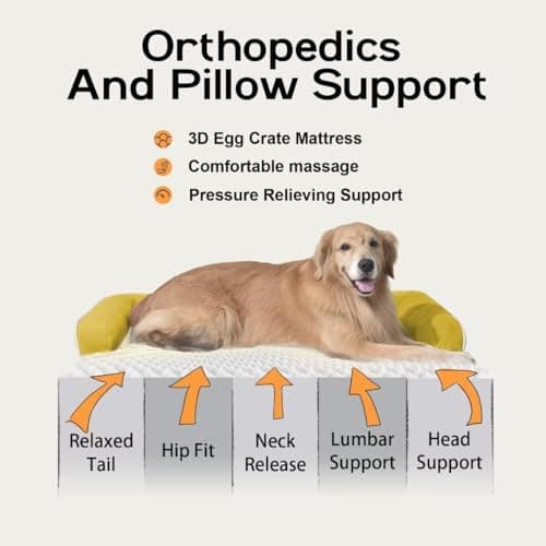 Large Dog Bed Orthopedic Washable | Beds Bolster Pet | XL Large Big Dogs | Memory Foam Couch Sofa | Waterproof with Removable Cover - Ginger Yellow Dog Bed - Thumbnail 2