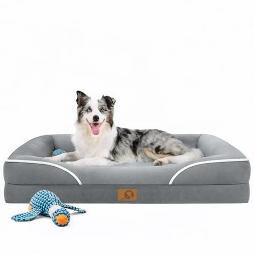 Homemate Dog Bed Large Sized Dog: 42x30 inch Orthopedic Large Dogs Bed XL Outdoor Pet Cat Bed Sofa Supplies with Toy Dogs Crate Pad Couch with Removable Washable Cover & Non-Slip Botton Light Grey - Image 1