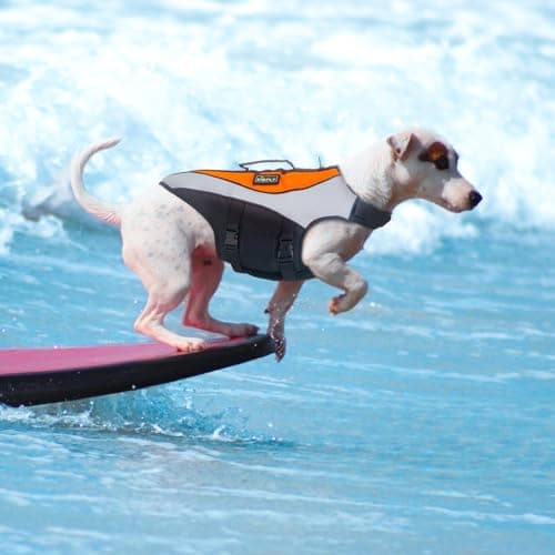 Reflective Adjustable Dog Life Jacket - High Buoyancy Swim Vest for Small Dogs, Dog Swimsuit with Rescue Handle, Pet Flotation Device for Boating, Pool, Beach(XS, Orange) - Image 1